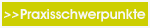 Praxisschwerpunkte